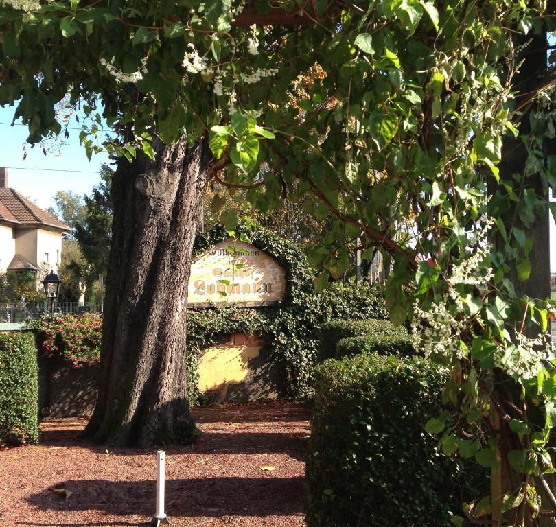 Drensteinfurt Land-Gut-Hotel Lohmann מראה חיצוני תמונה